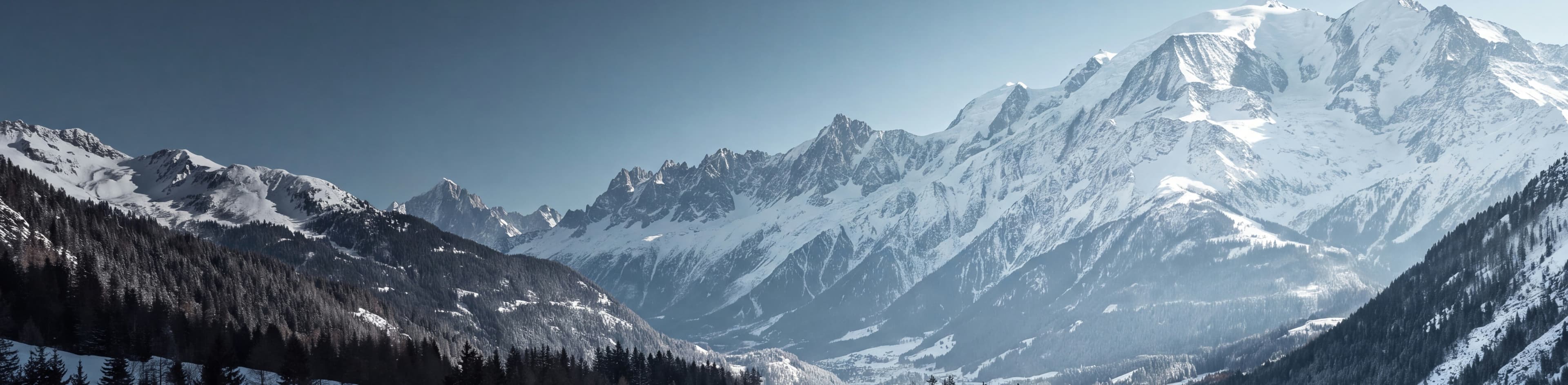ALPINE FLEET — next case study